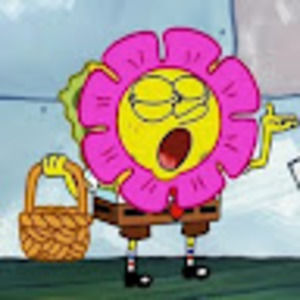 Meet your Posher, Carolyn